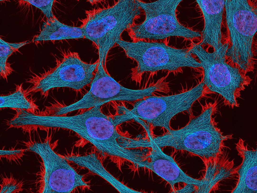 Brain cell microscopy imaging