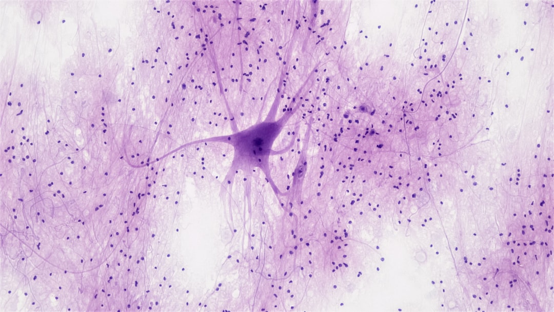 Neuron and brain cell microscopy